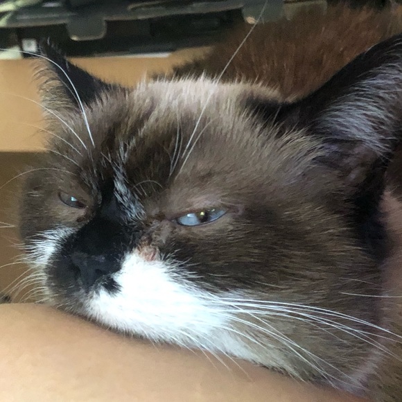 Experienced seller- new to Poshmark. - Picture 4 of 7